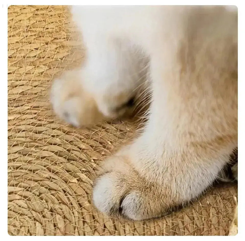 Garduru - Flauschiges Kuschel-Katzenbett für ultimativen Komfort