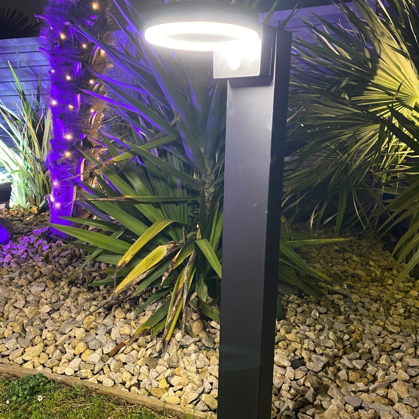 Solar-Wandlampe Außen mit Bewegungsmelder und monokristallinem Solarmodul