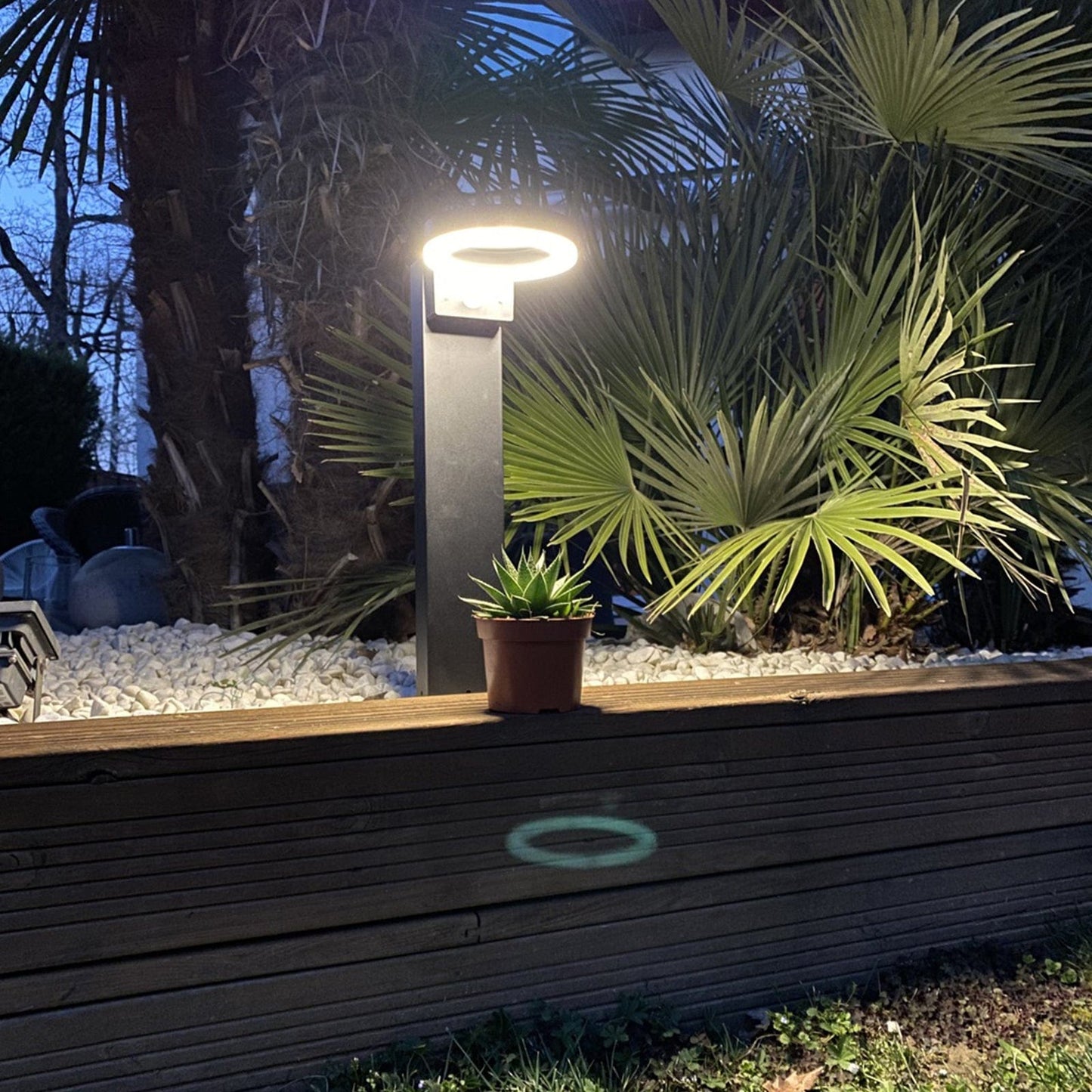 Solar-Wandlampe Außen mit Bewegungsmelder und monokristallinem Solarmodul