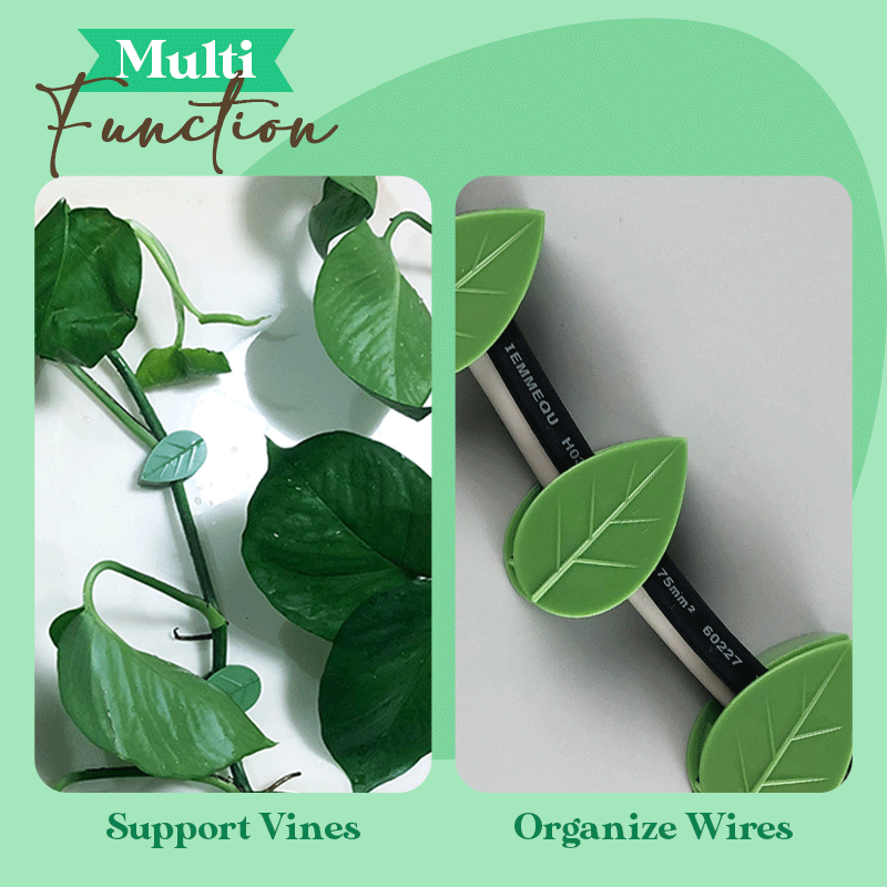 PlantClip™ - Kletterpflanzen Wandclip