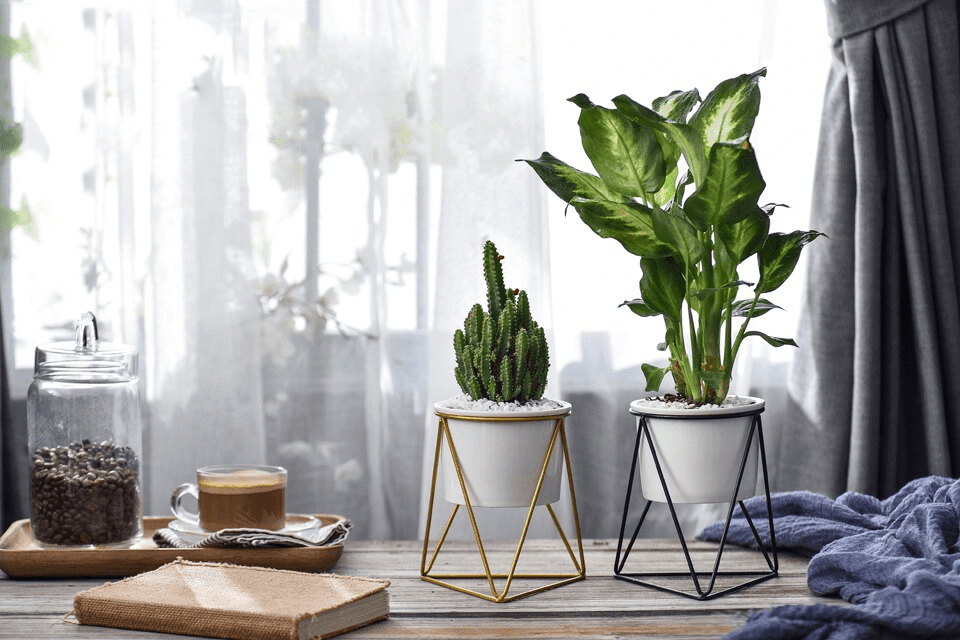 Garduru – Eleganter Blumentopf für stilvolle Dekoration