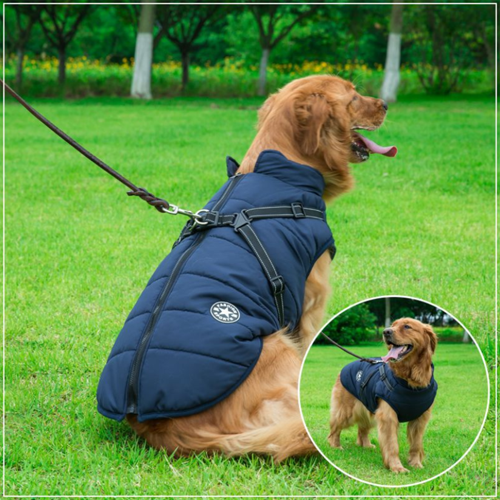 WoofGuard™ - Wasserdichte Winterjacke mit integriertem Gurtzeug