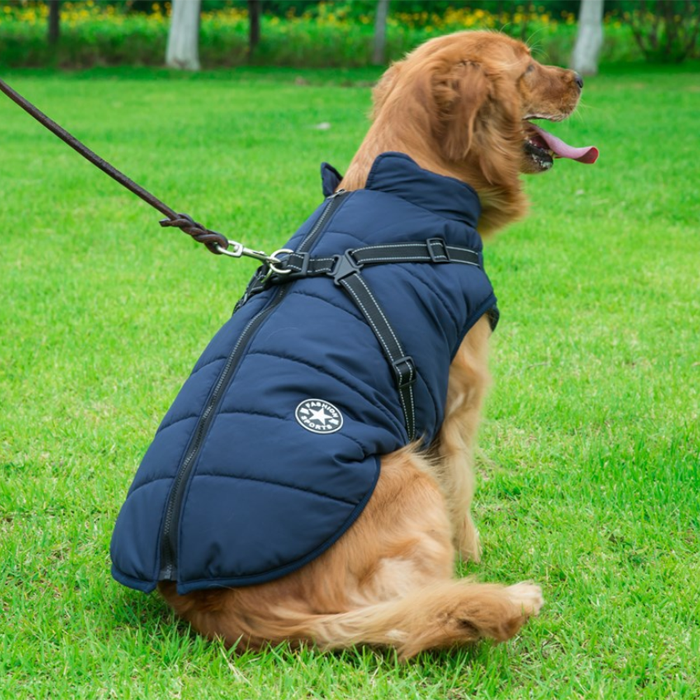 WoofGuard™ - Wasserdichte Winterjacke mit integriertem Gurtzeug