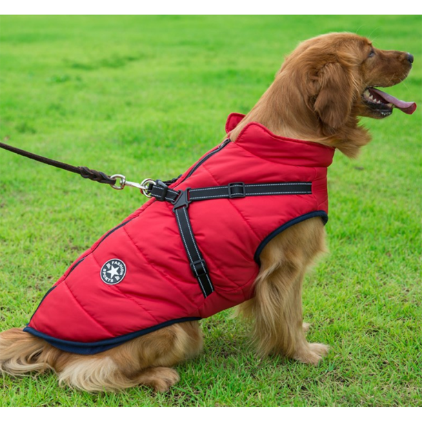 WoofGuard™ - Wasserdichte Winterjacke mit integriertem Gurtzeug