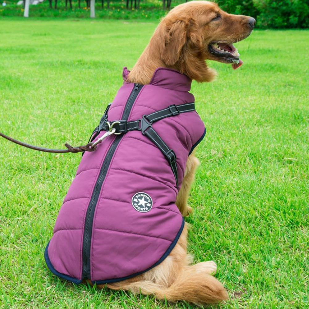 WoofGuard™ - Wasserdichte Winterjacke mit integriertem Gurtzeug