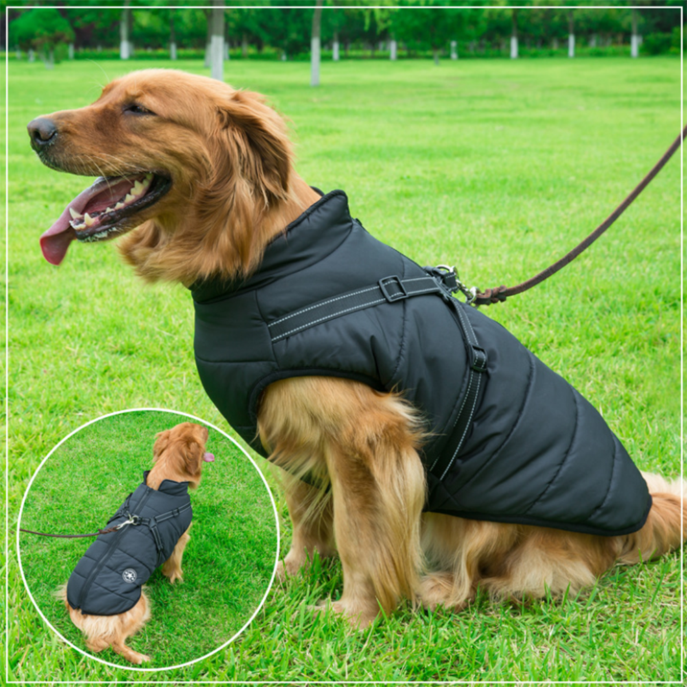 WoofGuard™ - Wasserdichte Winterjacke mit integriertem Gurtzeug