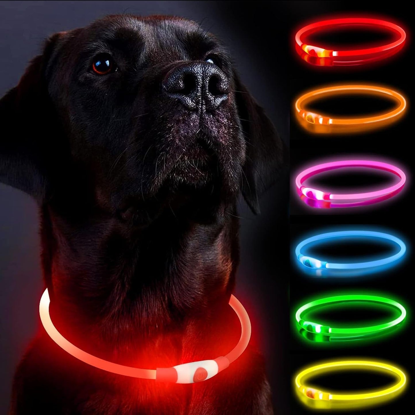 Leuchtendes LED-Halsband wiederaufladbar für Hunde | GlowPup