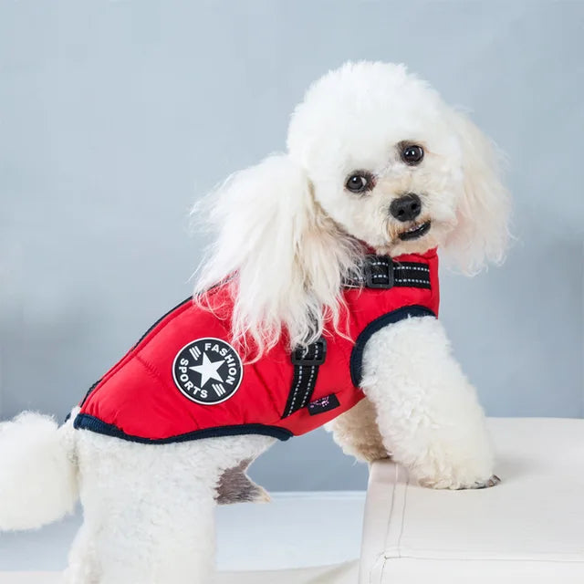 Wind- und wasserdichte Jacke für Hunde mit Geschirr