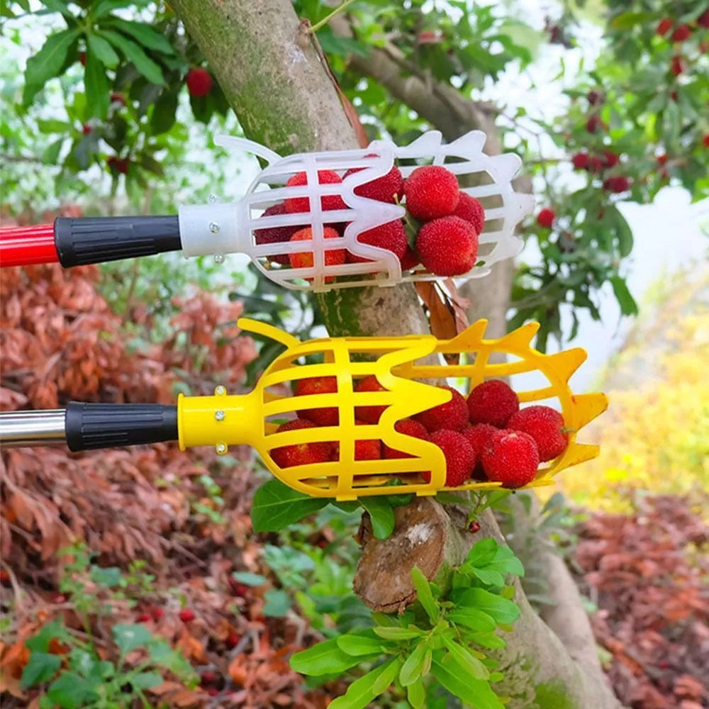 Ergonomische Erntehilfe zum einfachen Obstpflücken von Bäumen und Sträuchern
