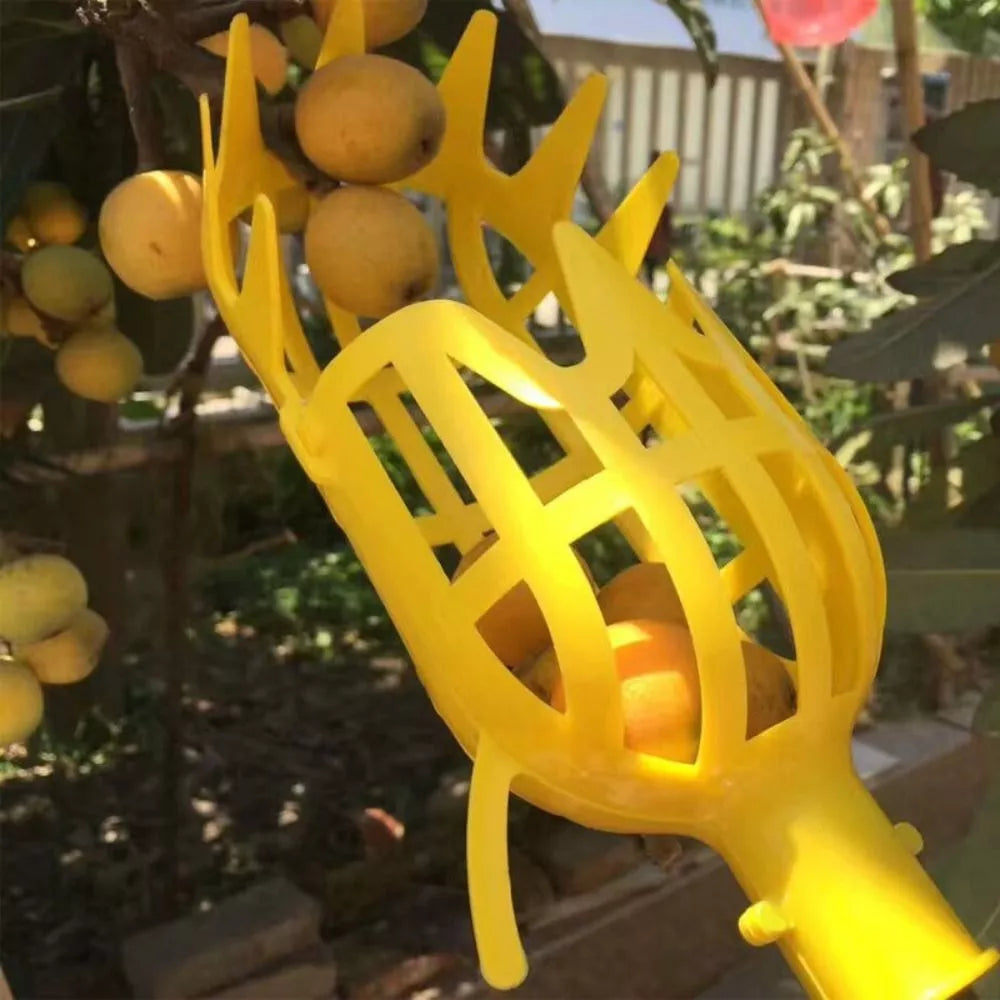 Ergonomische Erntehilfe zum einfachen Obstpflücken von Bäumen und Sträuchern