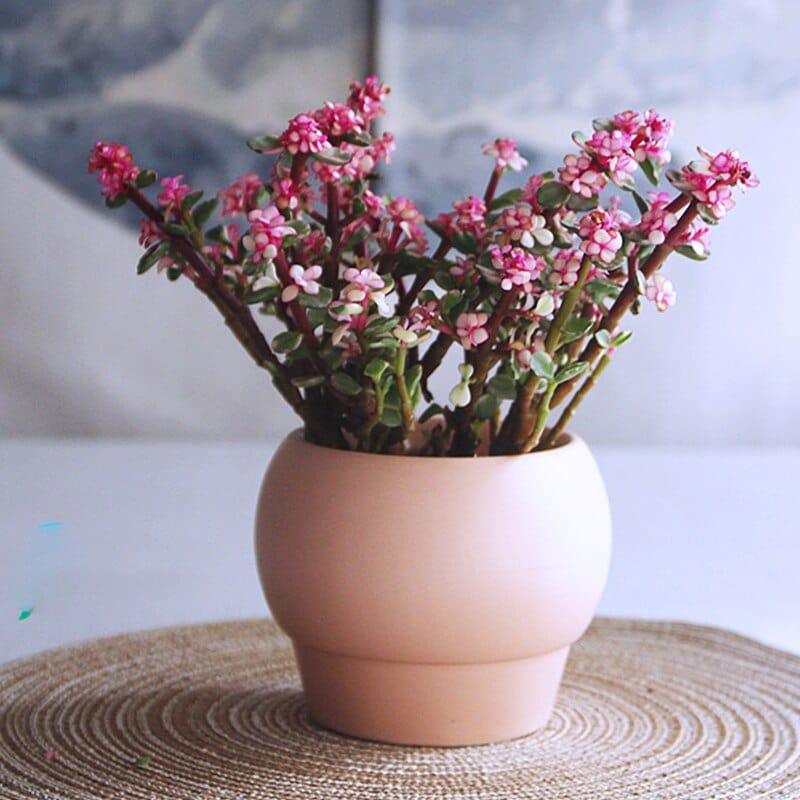 Garduru – Elegante Keramikvase für zeitloses Design