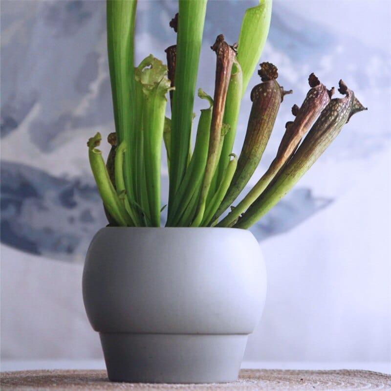 Garduru – Elegante Keramikvase für zeitloses Design