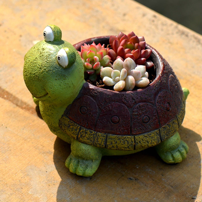 Niedlicher Schildkröten-Sukkulenten-Pflanzer