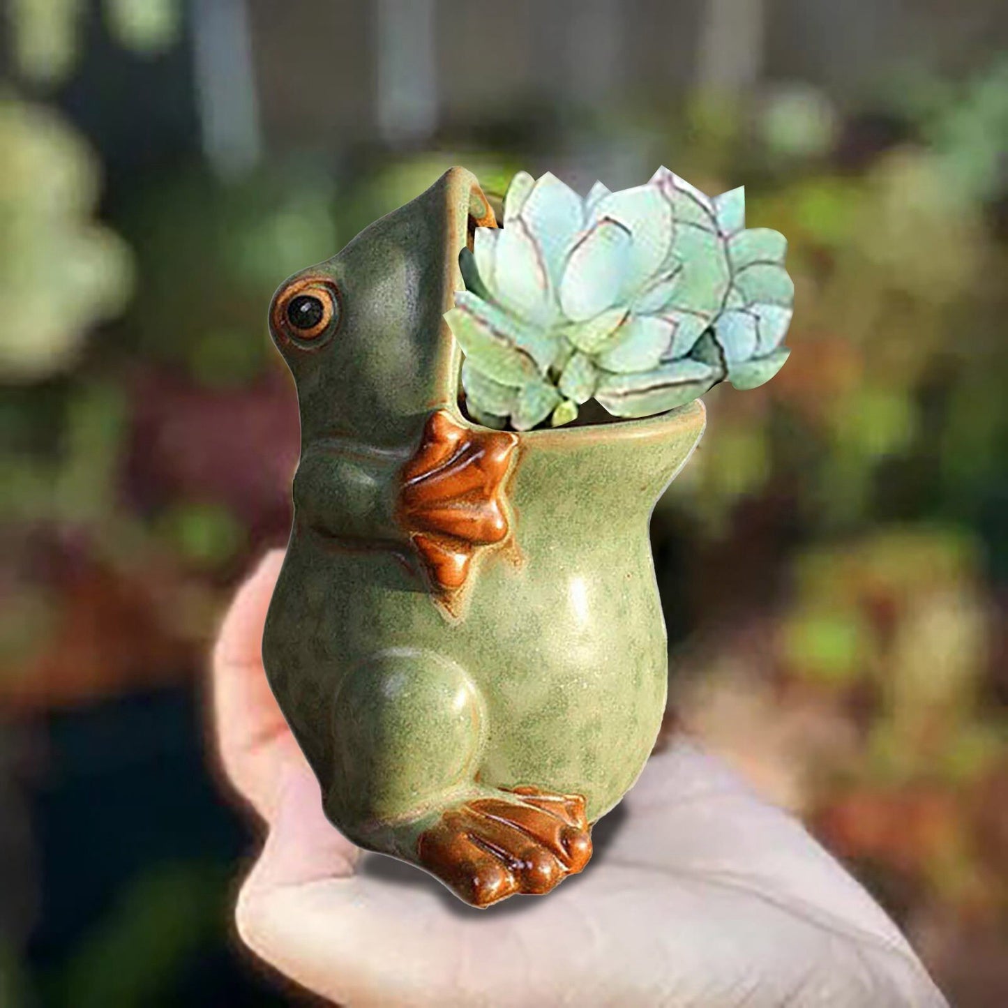 Frosch Geformt Bonsai Pflanzgefäß