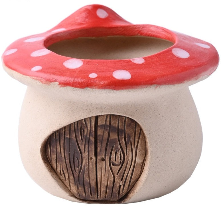 Pilz-Sukkulenten-Pflanzentöpfe