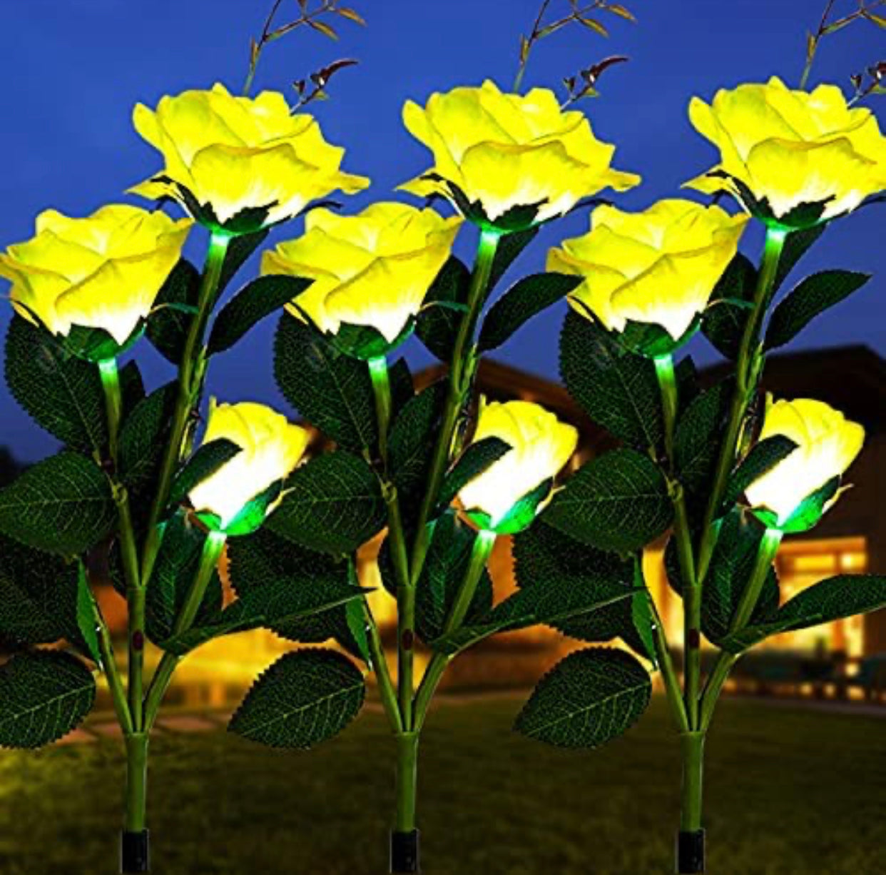 Solar-Rosenleuchten mit LED (2er Pack)
