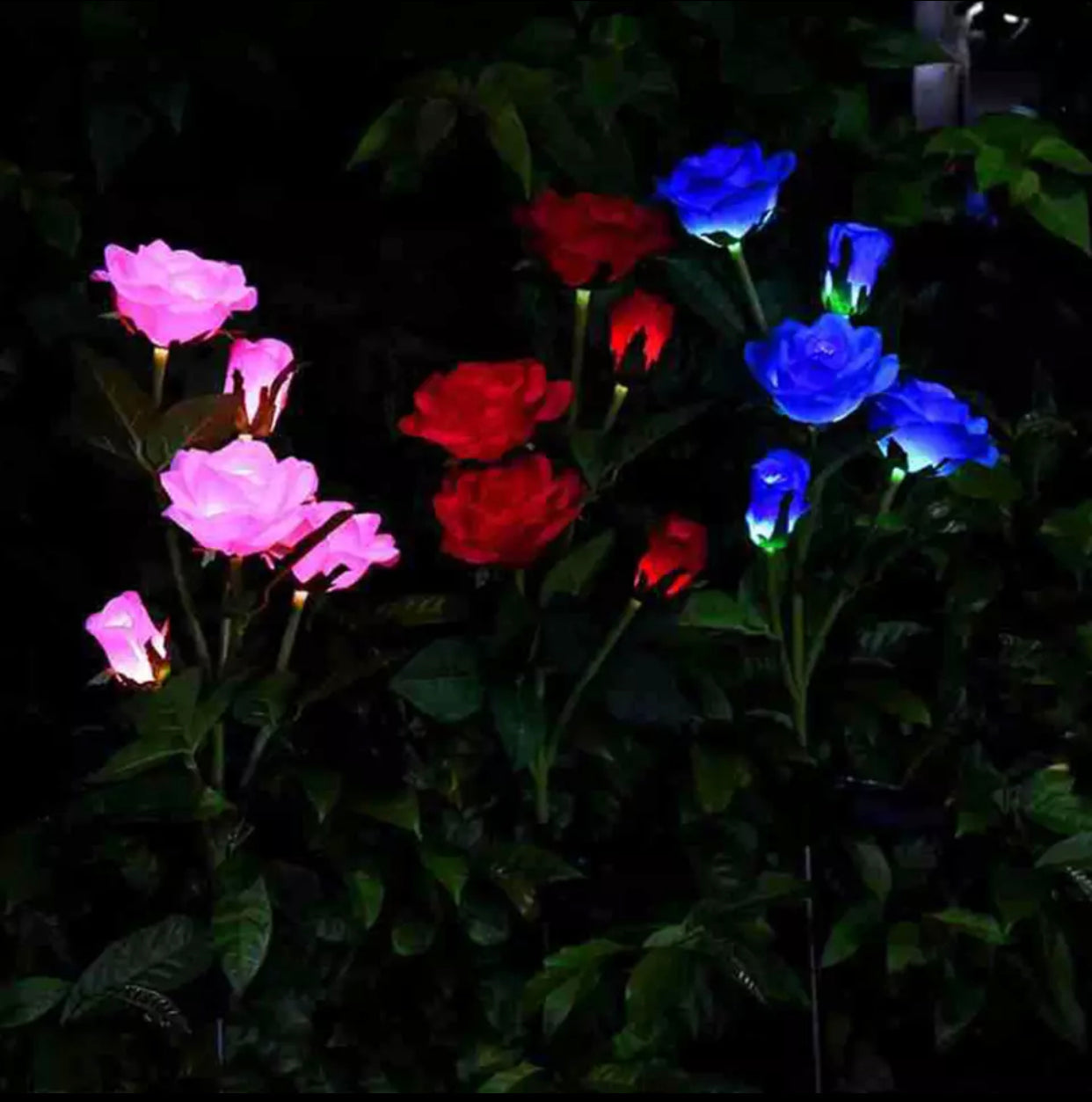 Solar-Rosenleuchten mit LED (2er Pack)
