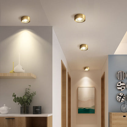 Garduru Ultra-thin LED Deckenleuchte | Kupfer | Modernes Design | Dimmbare Deckenlampe | Energieeffizient | Stimmungslicht