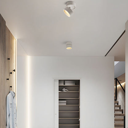 LED-Deckenleuchte mit verstellbarem Spotlichtkopf