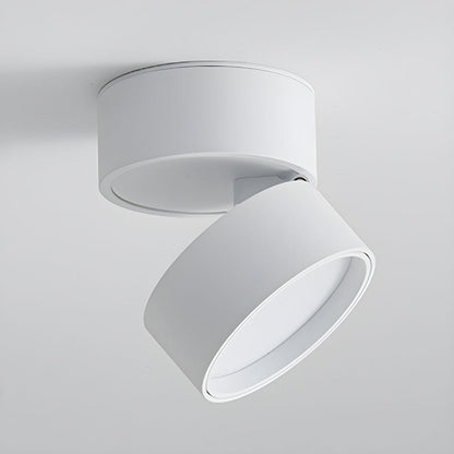 LED-Deckenleuchte mit verstellbarem Spotlichtkopf