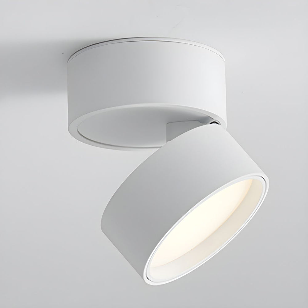 LED-Deckenleuchte mit verstellbarem Spotlichtkopf