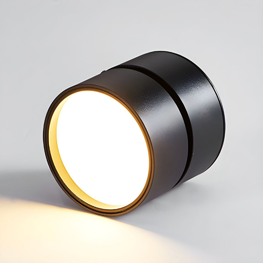 LED-Deckenleuchte mit verstellbarem Spotlichtkopf