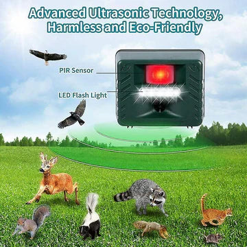 Specht Ultraschall-Abwehrmittel für effektive Vogelbekämpfung - Werden Sie Spechte los