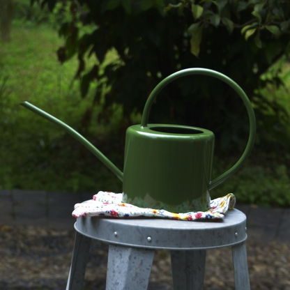Stylish metal watering can for plant care and watering