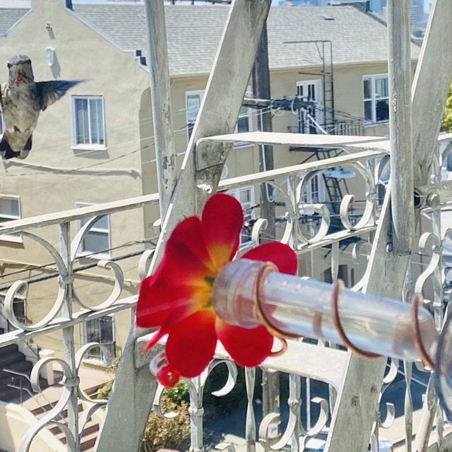 Blumenfenster Kolibri-Futterstation