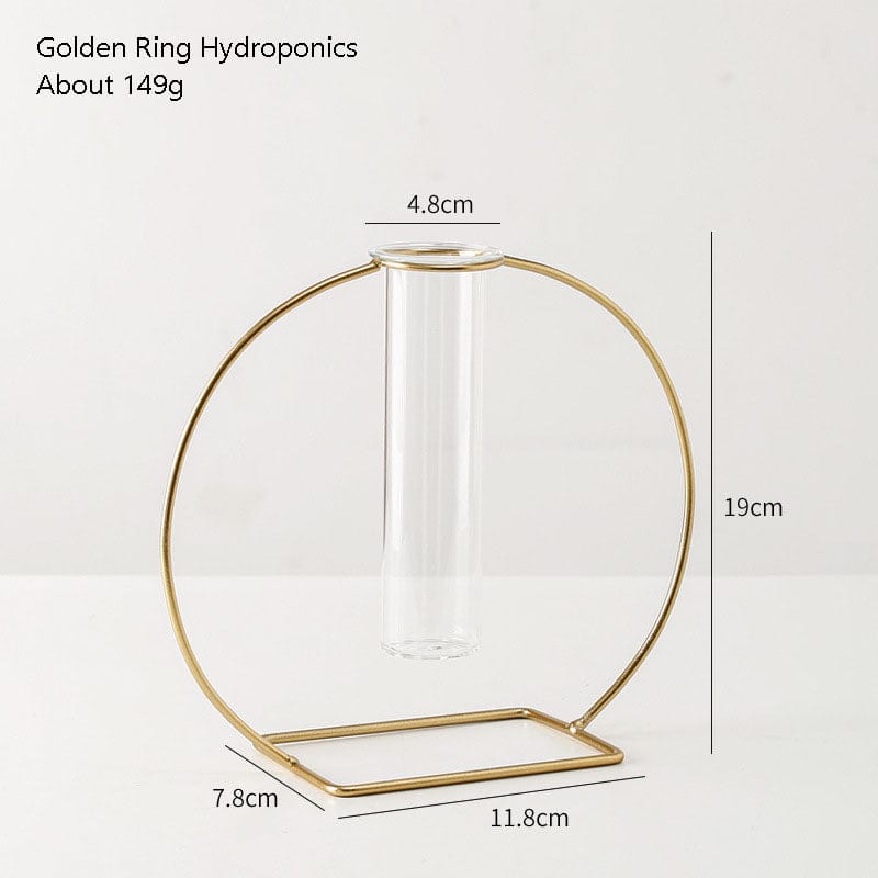 Skandinavischer Stil Schlichte Geometrische Metall Schmiedeeisen Transparentes Glas Hydroponische Vase