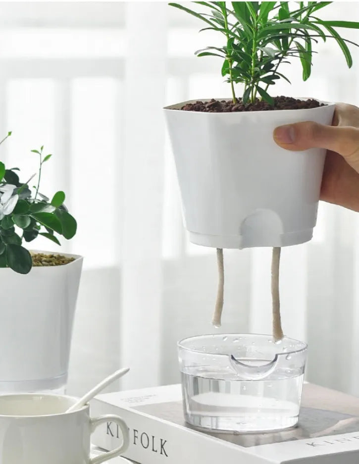 Pflanzentopf mit Wasserreservoir – Selbstbewässernder Blumentopf für Zimmerpflanzen