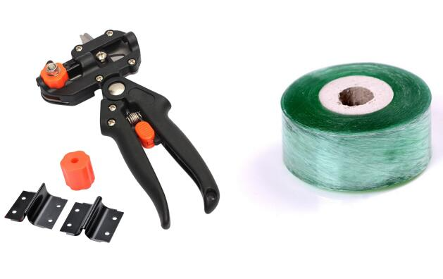 Veredelungsschere für Garten – Präzise Schnittwerkzeuge für Grafting und Veredeln von Pflanzen