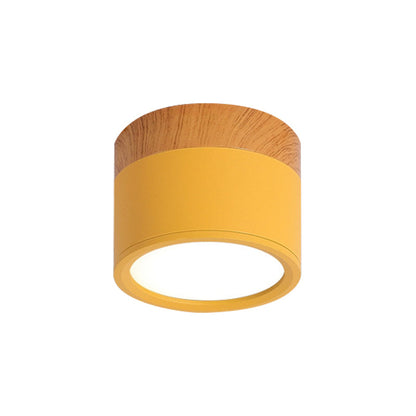 VibrantGlow - Elegante Deckenlampe im kleinen Format