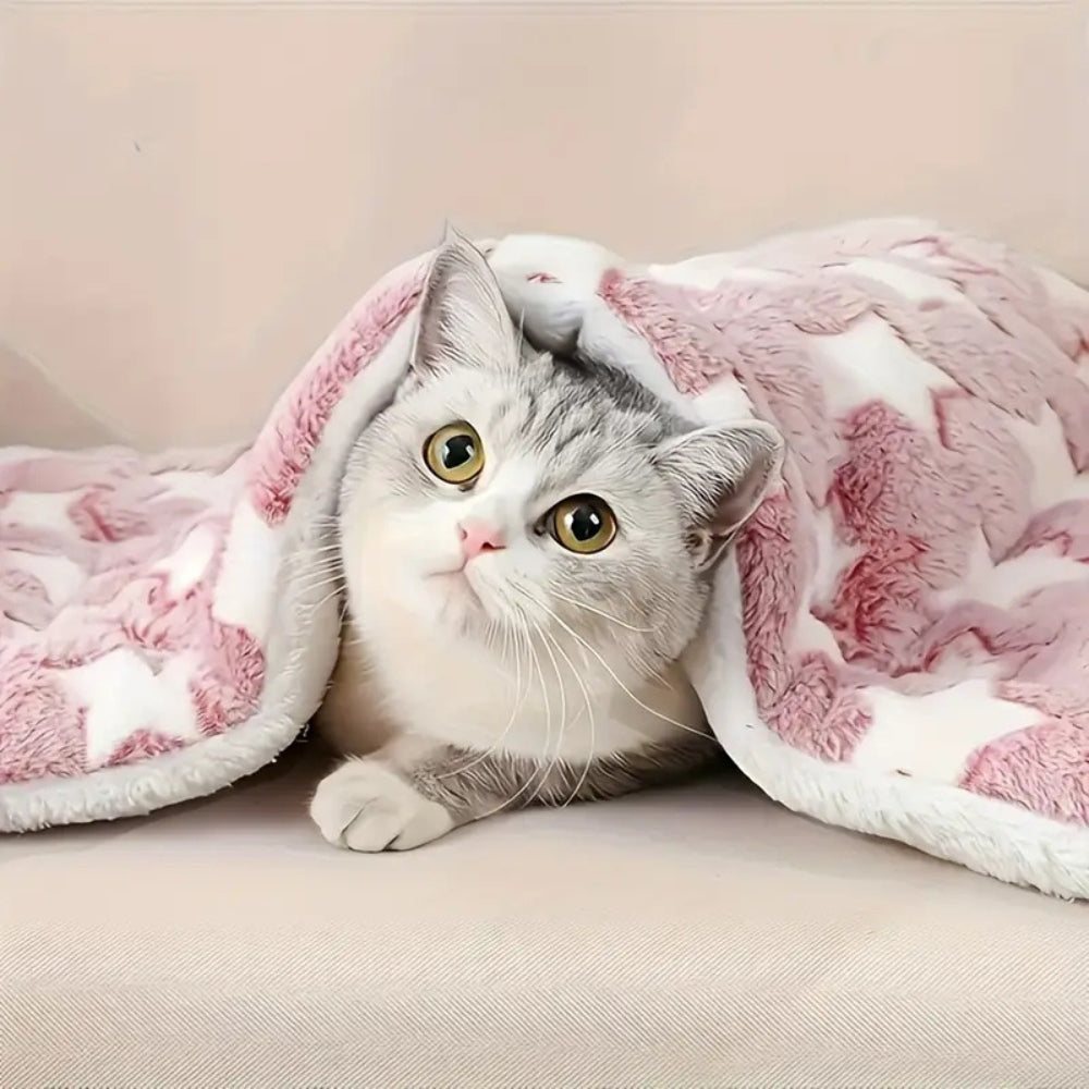 Snuggly Star Ultra-Warme Haustierbett