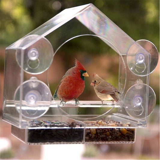 BirdFeeder™ | Fönster Fågelhus