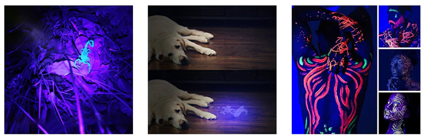 Luxora UV Taschenlampe Schwarzlicht zur Fleckenerkennung