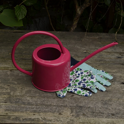 Stylish metal watering can for plant care and watering