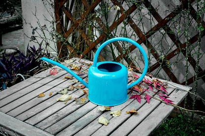 Stylish metal watering can for plant care and watering