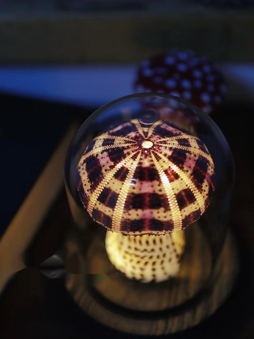 Pilz Seeigel Handgemachte Kleine Nachttischlampe