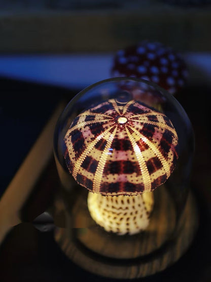 Pilz Seeigel Handgemachte Kleine Nachttischlampe