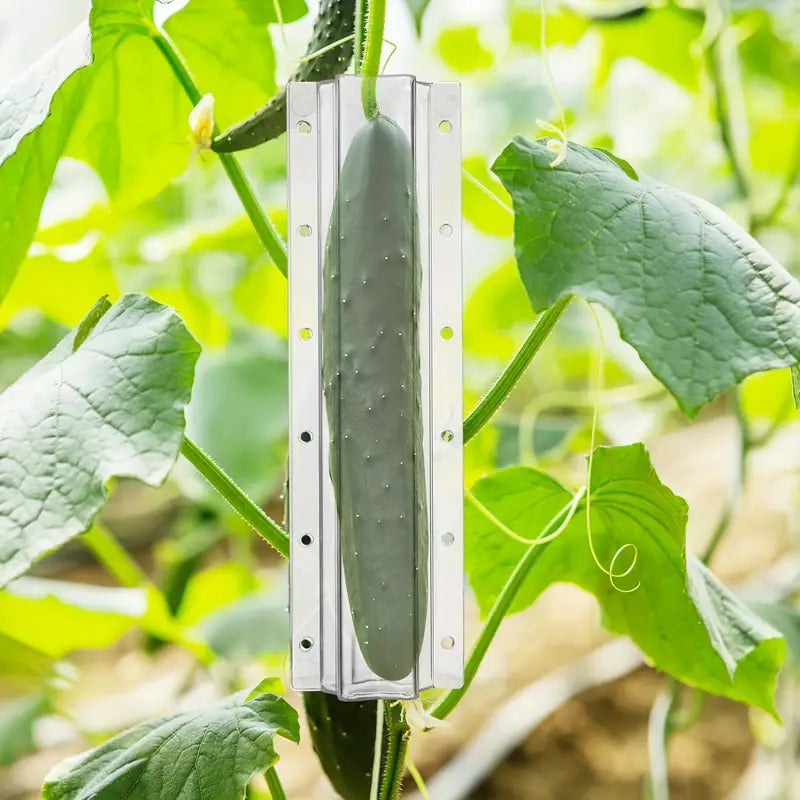 Sternform Gemüseform für Gurken – Kreative Formschiene für Obst und Gemüse