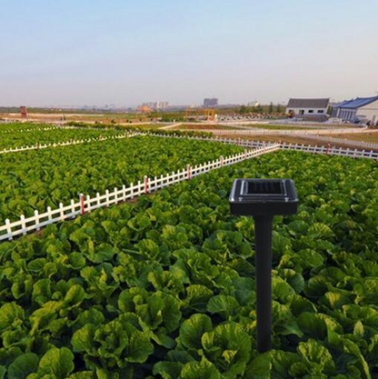 Solarbetriebene Schlangen- und Schädlingabwehr – Ultraschallgerät für den Garten