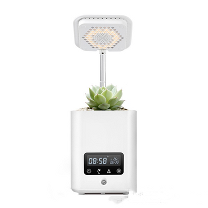 Smart Hydroponic Plant Pot with Diffuser and Desk Lamp for Indoor Use