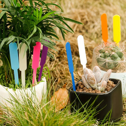 Wetterfeste Gartenmarker für effiziente Pflanzenidentifikation