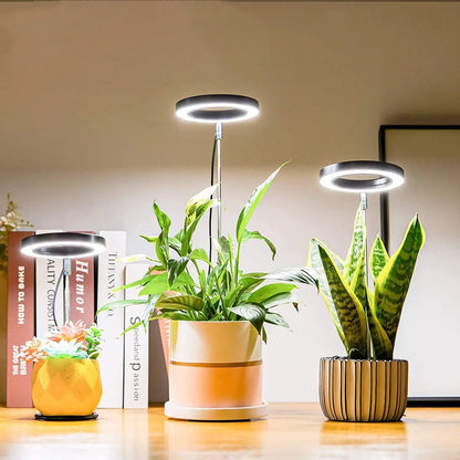 Garduru Grow - Elegante LED Phyto Grow Lampe