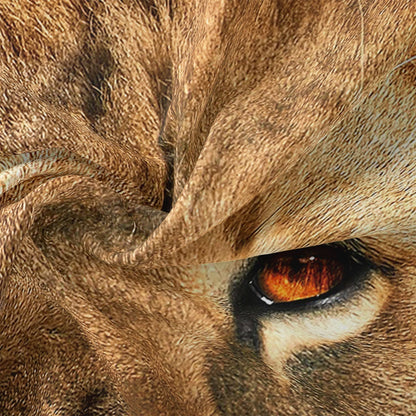 Bettbezug Löwenmotiv 200x200 | LionElegance