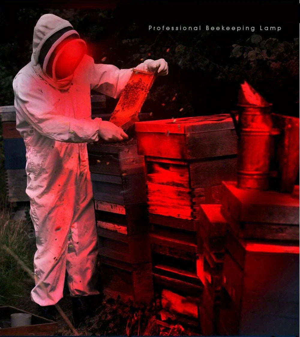 Wiederaufladbare LED Stirnlampe mit Weiß-, Rot- und Grünlicht – Leistungsstarke Kopflampe mit USB und Akku