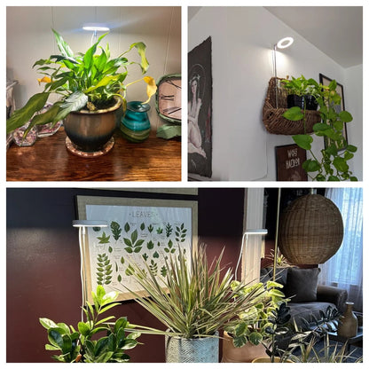 ThriveBeam™ - LED-Wachstumslicht mit vollem Spektrum