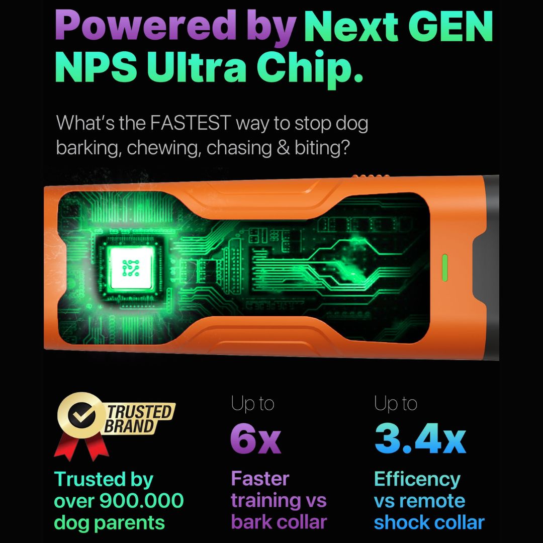 Ultimatives Anti-Bell-Gerät für friedliche und ruhige Hunde