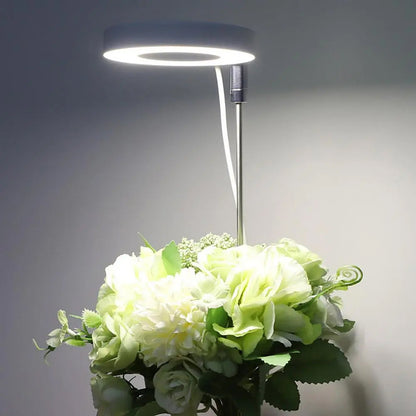 Garduru Grow - Elegante LED Phyto Grow Lampe